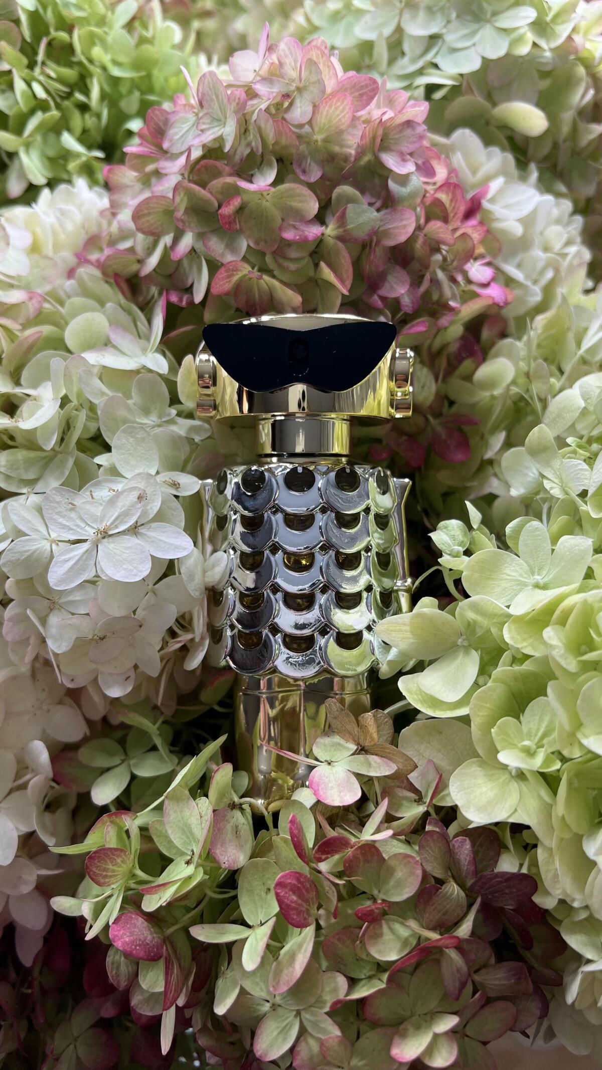 Rabanne Fame Parfum | The Intense Woody Chypre Jewel-80ml