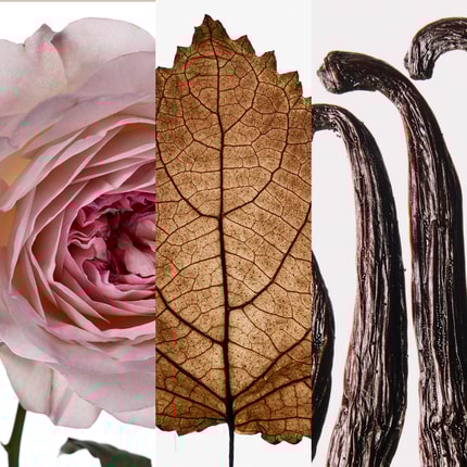 Carolina Herrera Good Girl Blush Elixir | Sensual Exotic Floral EDP-80ml