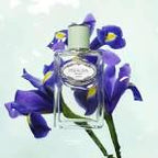 Prada Milano Les Infusions: Infusion d'Iris | Eau de Parfum-100ml