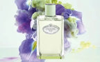 Prada Milano Les Infusions: Infusion d'Iris | Eau de Parfum-100ml