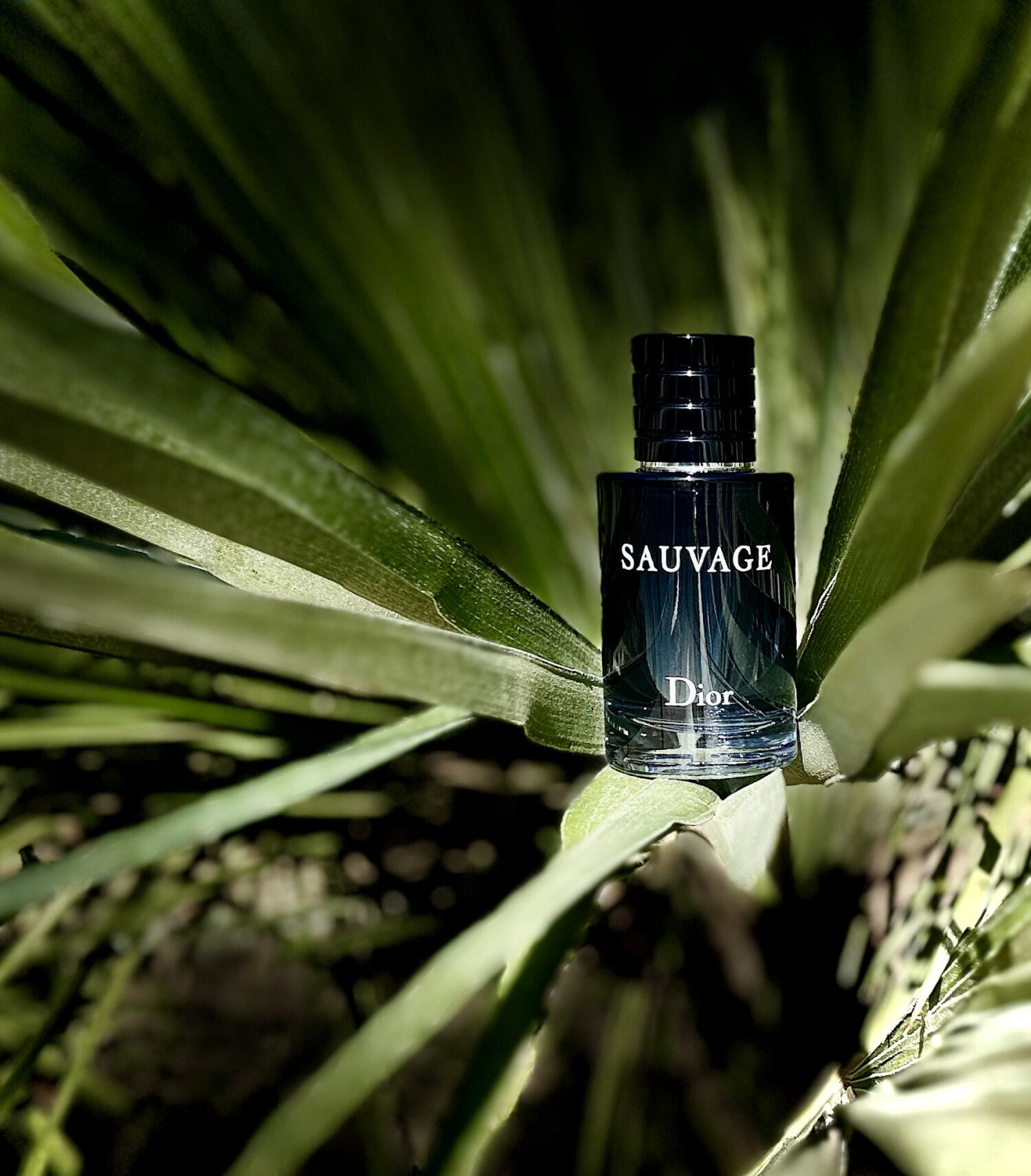 Dior Sauvage Parfum
