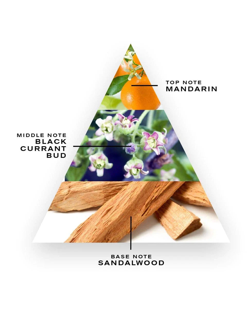 CREED Silver Mountain Water | The Iconic Fresh Marine Masterpiece-100ml